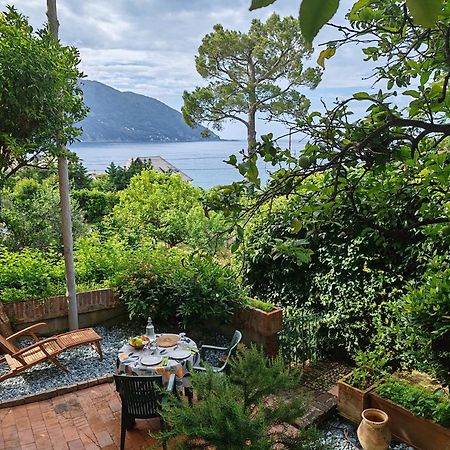 B&B La Taverna Di Mulinetti Рекко Екстер'єр фото